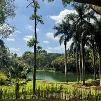 original sound - aliceshopbrasil