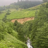 waled4252