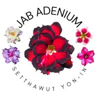 jabboooooooo
