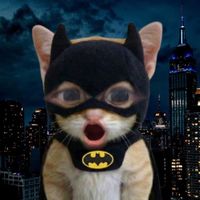 nhạc nền - miss bchungg𓆝