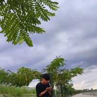 chophel23
