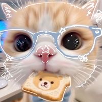 meowme07