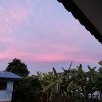 เสียงต้นฉบับ - น้องวีโก้ โล่ทอง(1.6k)