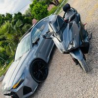 milanessi3