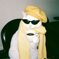 drowsy.cat.astrology