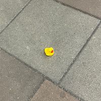 オリジナル楽曲 - X M