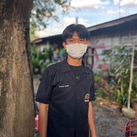 plam_322