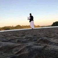 الصوت الأصلي