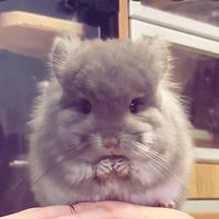 オリジナル楽曲 - E