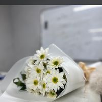 agstafa_988