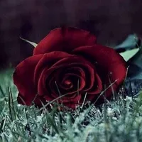 original sound - yagmurdansonra_