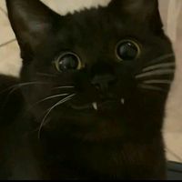 jackjackie821