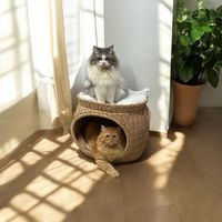 charley1415