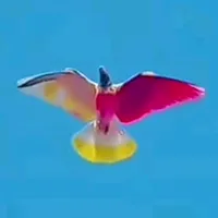 original sound - khichi_pigeon_point