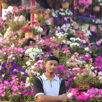 mffahad2