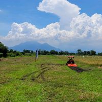 mesintaniindonesia