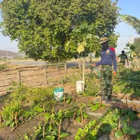 original sound - userlm3oip0nrj