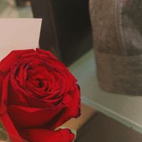 دعاء محمد زاهر البارقي