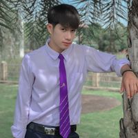 dinonew48