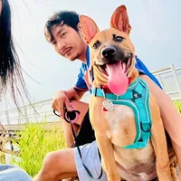 original sound - dam__wannachai