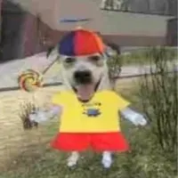 original sound - qqr.meme