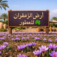 saffron_land