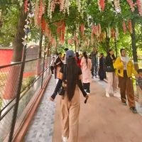 rajina.rasaili99