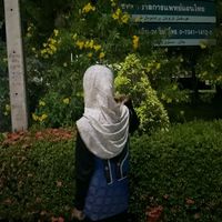 เสียงต้นฉบับ - Firdaw Hayidarawii