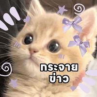 เสียงต้นฉบับ - standbukee