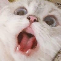 burayabosyapmayageldimm