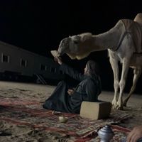 الصوت الأصلي