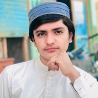 janzib_313