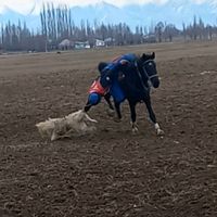 edil.09kg