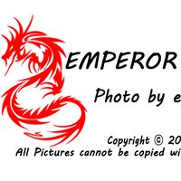 오리지널 사운드 - emperor523