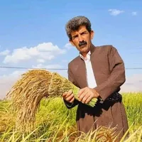 original sound - azadkurdistani1
