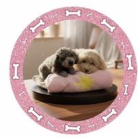 オリジナル楽曲 - はる