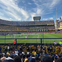 bostero.tiktok