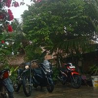 suara asli - Siahaan 🤐