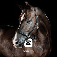 _equineedits