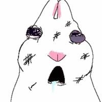 0206.harin