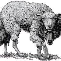 Честер По Белому Slowed