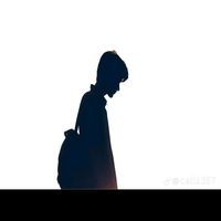 zieng.slv