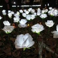 original sound - Sandra