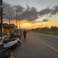 เสียงต้นฉบับ - พลังขี้เต่า💨🐢