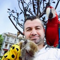 الصوت الأصلي