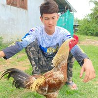 เสียงต้นฉบับ - ซุ้ม PT ฟาร์ม🐓🌪️