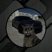 alpha_jk245