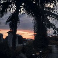 suara asli - Rreezzaa