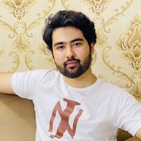 alihasnainsheerazi