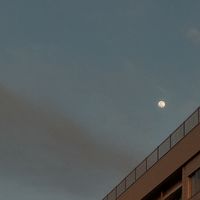 zfch_4